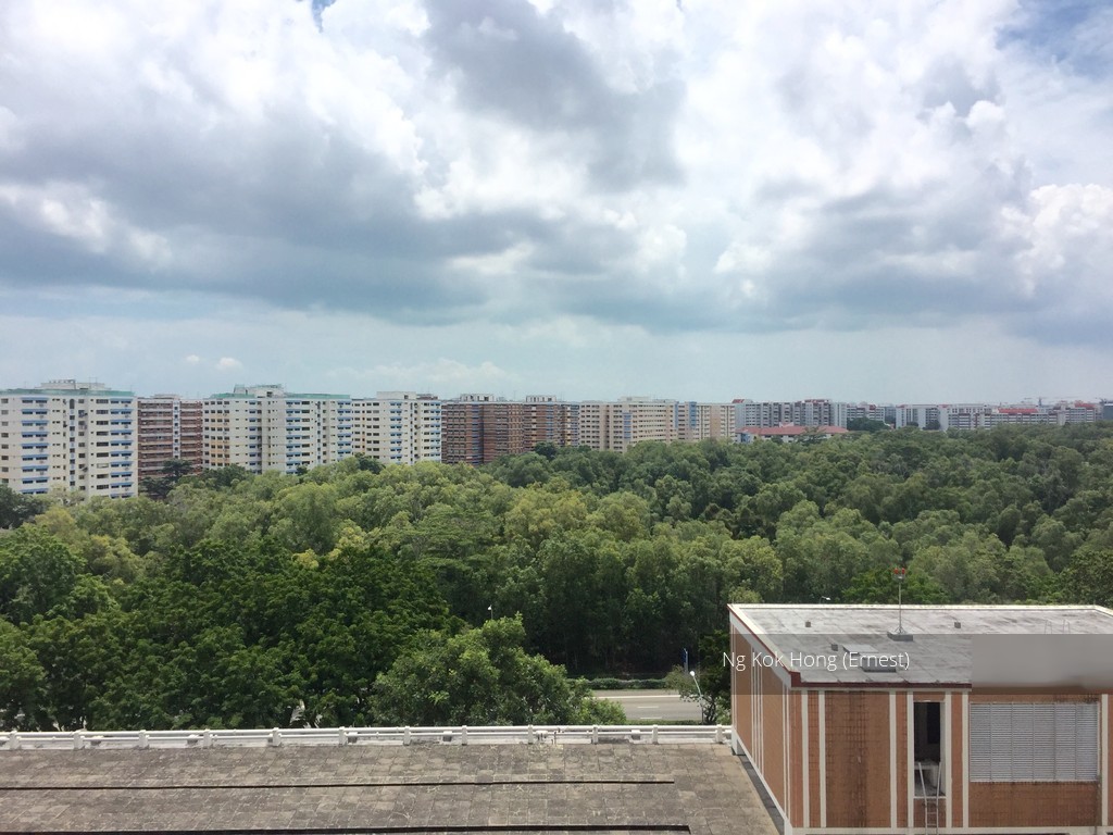 Blk 558 Pasir Ris Street 51 (Pasir Ris), HDB 4 Rooms #109096452